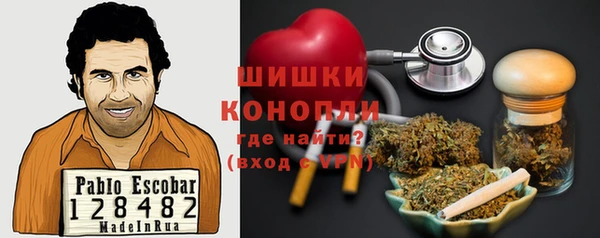 Альфа ПВП Ельня