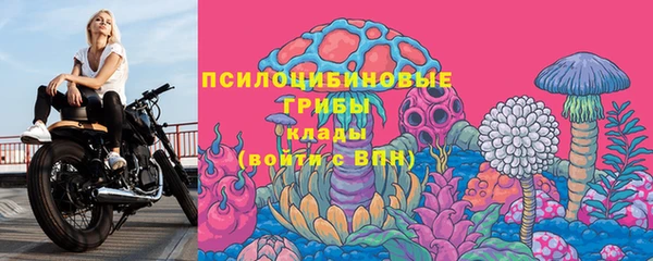 не бодяженный Елабуга