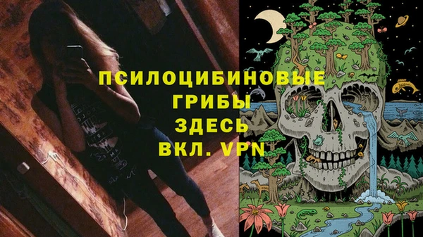 мяу мяу мука Елизово